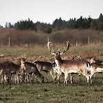Bl1674-pandrup-kystvejen-19 * Pandrup